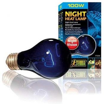 Éclairage Solaire Nocturne TerraGlow – 100 W pour Animaux à Peau
