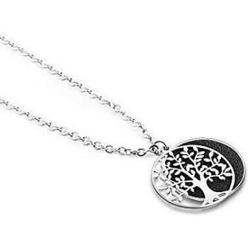 CHINON SILICE PLOUZEAU BIO 75CL Vin Blanc