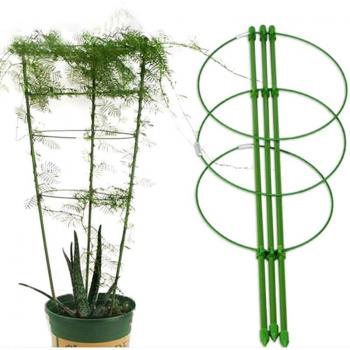 Support de vigne robuste 45cm