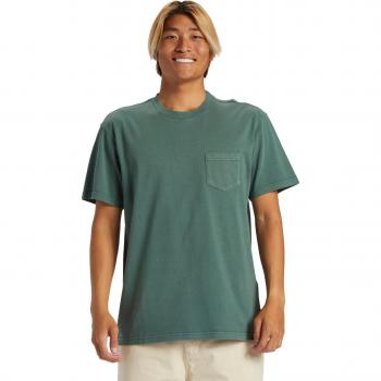 Quiksilver Saltwater Tee para Hombre
