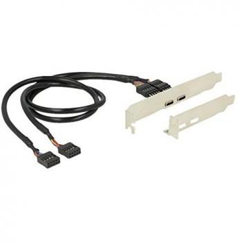DELOCK Slotblech – 2×USB‑Type‑C 2.0 Low‑Profile, 0,45 m Länge