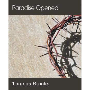 Paradise Opened