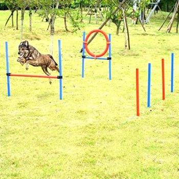 Pack Deportivo Canino Agilidad Salto y Puertas – N.º 1