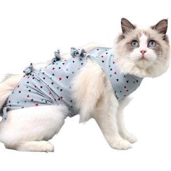 Traje de Rehabilitación Canina Post-Cirugía