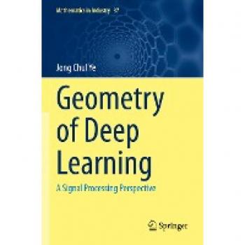 Geometry of Deep Learning: A Signal Processing Perspective