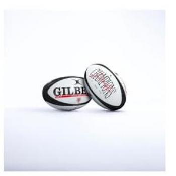 Ballon de rugby miniature