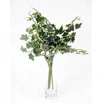 Nature's Twist: 30cm Variegated Ivy Pack