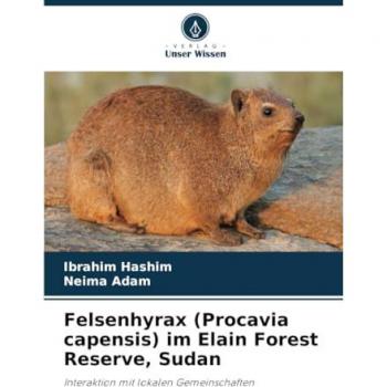 Hashim, Ibrahim: Felsenhyrax (Procavia capensis) im Elain Forest Reserve, Sudan