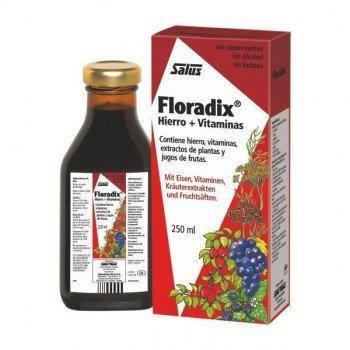 Floradix Fuerza Vitamínica 250 ml