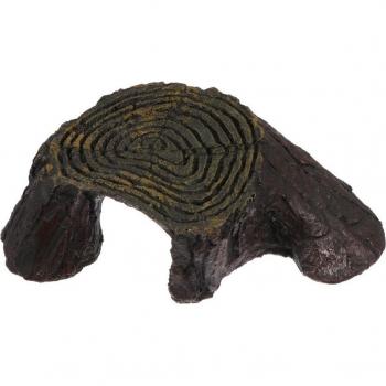 Terrasse d'escalade pour reptiles