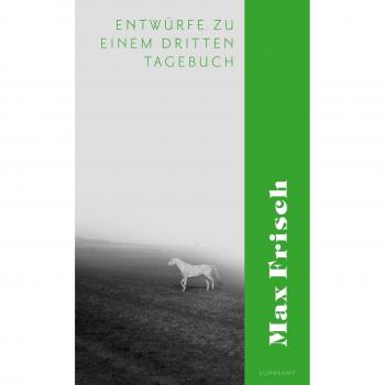 Max Frisch Entwürfe Zu Einem Dritten Tagebuch (Suhrkamp Taschenbuch)