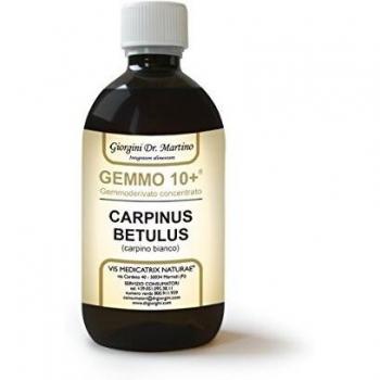 Carpino bi 500ml analco gem10+