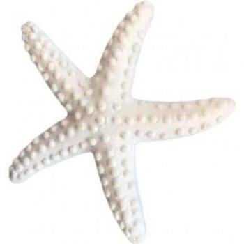 Coastal Simulation Starfish Decor