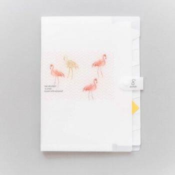 Caja de Carpeta Expandible para Papeles