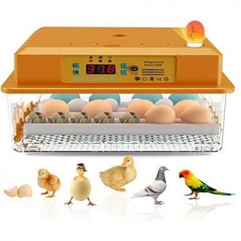 HatchHub 16‑Capacity Incubator & Smart Control