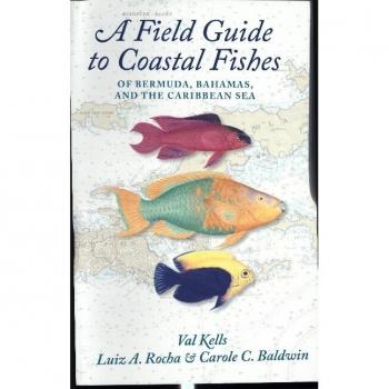 A Field Guide to Coastal Fishes of Bermuda, Bahamas, and the Caribbean Sea