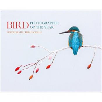 Bird Photographer of the Year: Collection 2 (Photography)-Bird P