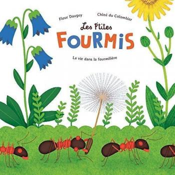 Les p'tites fourmis : La vie dans la fourmilière