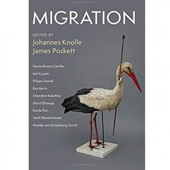 Migration: 32