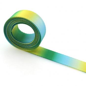 Yellow Green Blue 20mm Webbing Belt for Accessories
