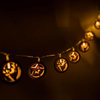 Wooden Disk Stars and Reindeers Indoor String Light