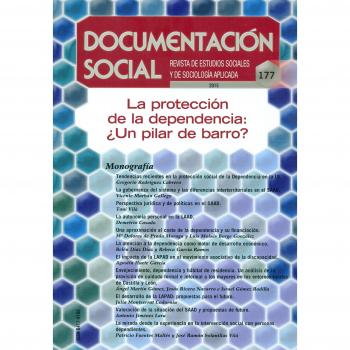 La protección dependencia ¿un pilar de barro? (Tapa blanda).
