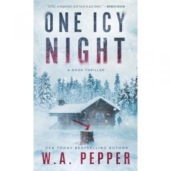 One Icy Night