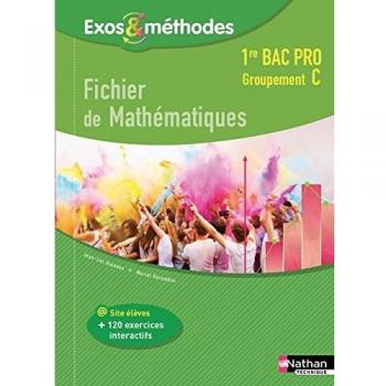 Fichier de mathématiques 1re Bac Pro Groupement C