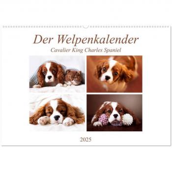 Der Welpenkalender
