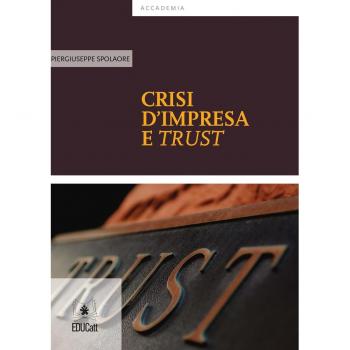 Introduzione ai principi guida degli standards contabili internazionali (IFRS)