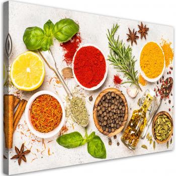 Aromatic Herbs and Spices on Canvas Print, Perfect for Kitchens, Size: 60x40