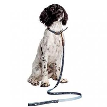 Danish Designs FatFace Small Dog Lead