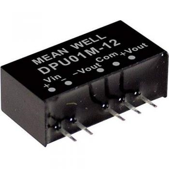 Mean Well DPU01M-15 1W DC/DC Converter Module