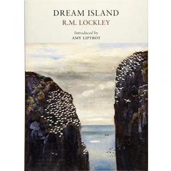 Dream Island