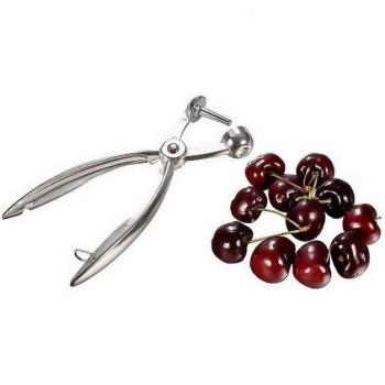 Aluminum Cherry Pitter