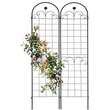 Tuteurs en métal noir, set de 2, HxL 180x50 cm, pour plantes grimpantes