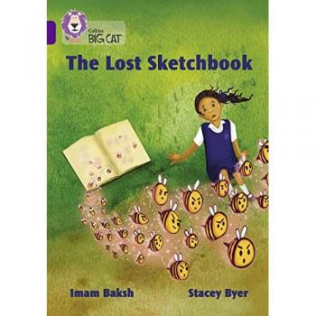 The Lost Sketchbook by Imam Baksh Paperback Book