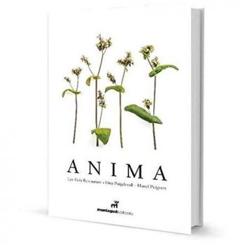 Anima