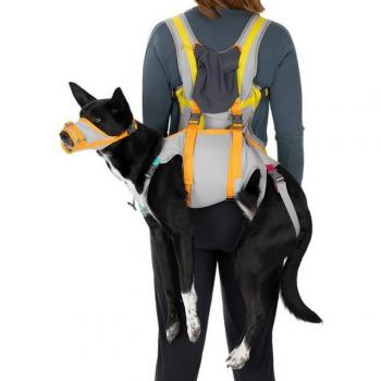Small Cloudburst Grey Escape Kit – Ruffwear