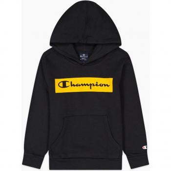 Sudadera Champion Logo Sfumato