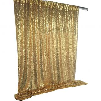 Large Shimmer Sequin Curtain