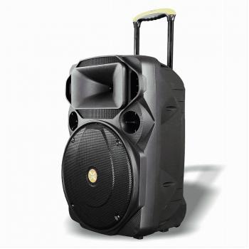 Cassa Audio Bluetooth Portatile con Woofer 15 e Microfono Extreme Sound Van-xl