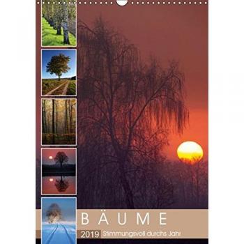 Bäume