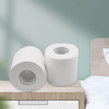 3-Ply Toilet Roll 10 Pack Fragrance-Free Skin-Friendly