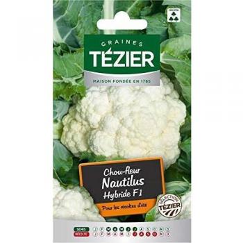Tezier