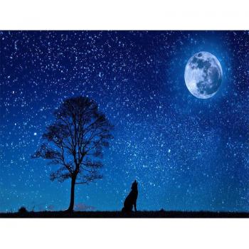 Décoration murale en diamant pleine lune 20X30CM