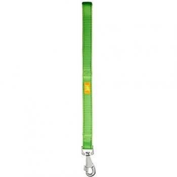 Guida Ferplast Dual GM25 Nylon Verde 111g