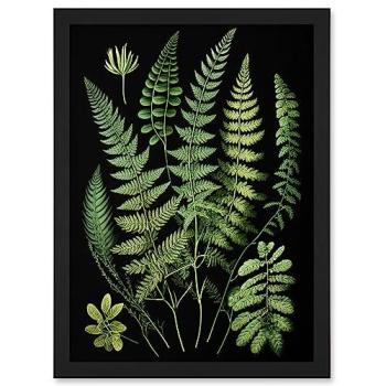 A4 Greenery: Fern Frond Botanical Wall Art