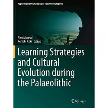 Learning Strategies and Cultural Evolution during the Palaeolithic