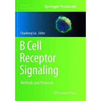 B Cell Receptor Signaling